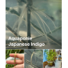 19-Eco-Print with Indirubined leaf - the vacuum way, complementary courses for "INSIDE INDIGO" by Julia Tabakhova