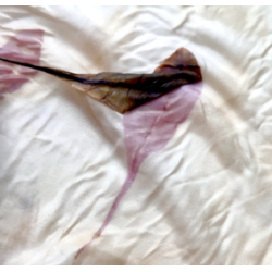 19-Eco-Print with Indirubined leaf - the vacuum way, complementary courses for "INSIDE INDIGO" by Julia Tabakhova