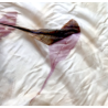 19-Eco-Print with Indirubined leaf - the vacuum way, complementary courses for "INSIDE INDIGO" by Julia Tabakhova