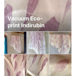 19-Eco-Print with Indirubined leaf - the vacuum way, complementary courses for "INSIDE INDIGO" by Julia Tabakhova