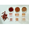 20-Character study : Persicaria Tinctoria stem pigment and more, complementary courses for "INSIDE INDIGO" by Julia Tabakhova