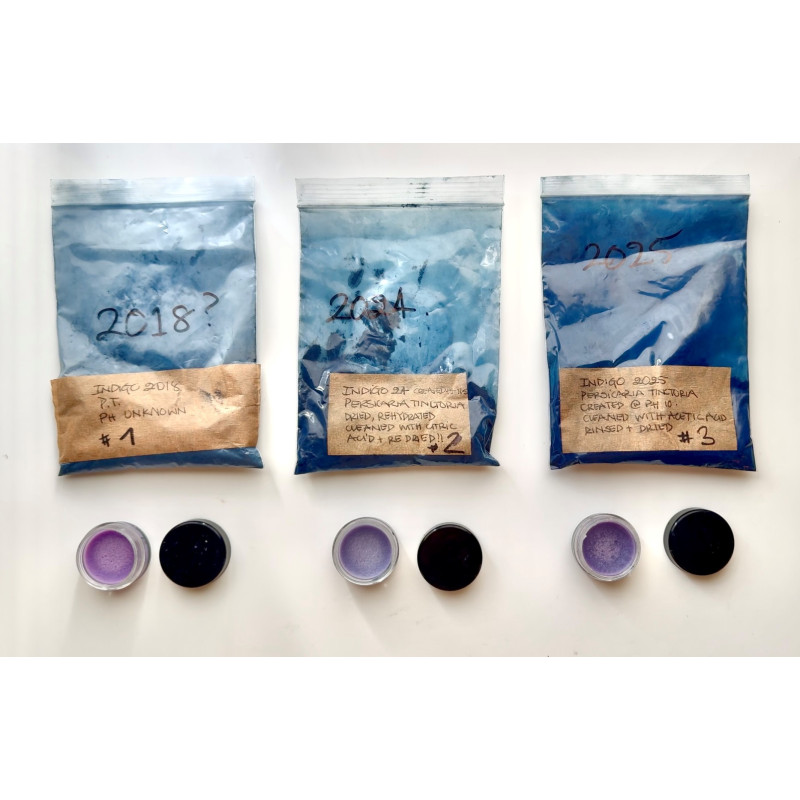 22-Pigment study for Bailiwick Blue, Guernsey, complementary courses for "INSIDE INDIGO" by Julia Tabakhova