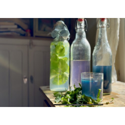 11 - Indoxyl Soda, complementary courses for "INSIDE INDIGO" by Julia Tabakhova