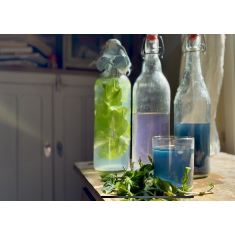 11 - Indoxyl Soda, complementary courses for "INSIDE INDIGO" by Julia Tabakhova
