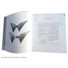 R-English version hard cover: CLASPS, 4,000 Years of Fasteners in Jewellery, buy on line