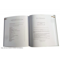 CLASPS, 4,000 years of fasteners in Jewellery, english version, buy on line