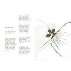 VHERBIER, une coédition TERRACOL et Fidel Anthelme X