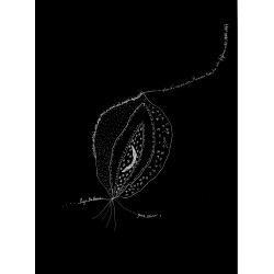 Toute La Lire, Cahier 4