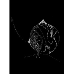 Toute La Lire, Cahier 4