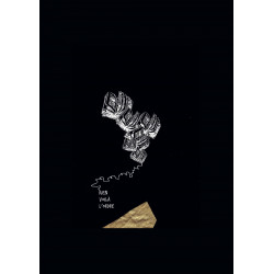 UN VERNIS SUR LE NÉANT de Jean-François Bory