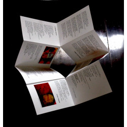 TOUTE LA LIRE - Petit cahier n°1