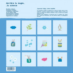 Inside Indigo, a blueprint for your indigo journey. A closer look at indigo on the molecular level. Level: beginner and expert