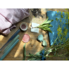 2-Indigo Naturalis with Woad, complementary courses for the book "INSIDE INDIGO" by Julia Tabakhova