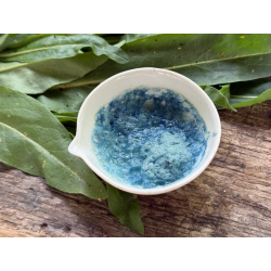 2-Indigo Naturalis with Woad, complementary courses for the book "INSIDE INDIGO" by Julia Tabakhova