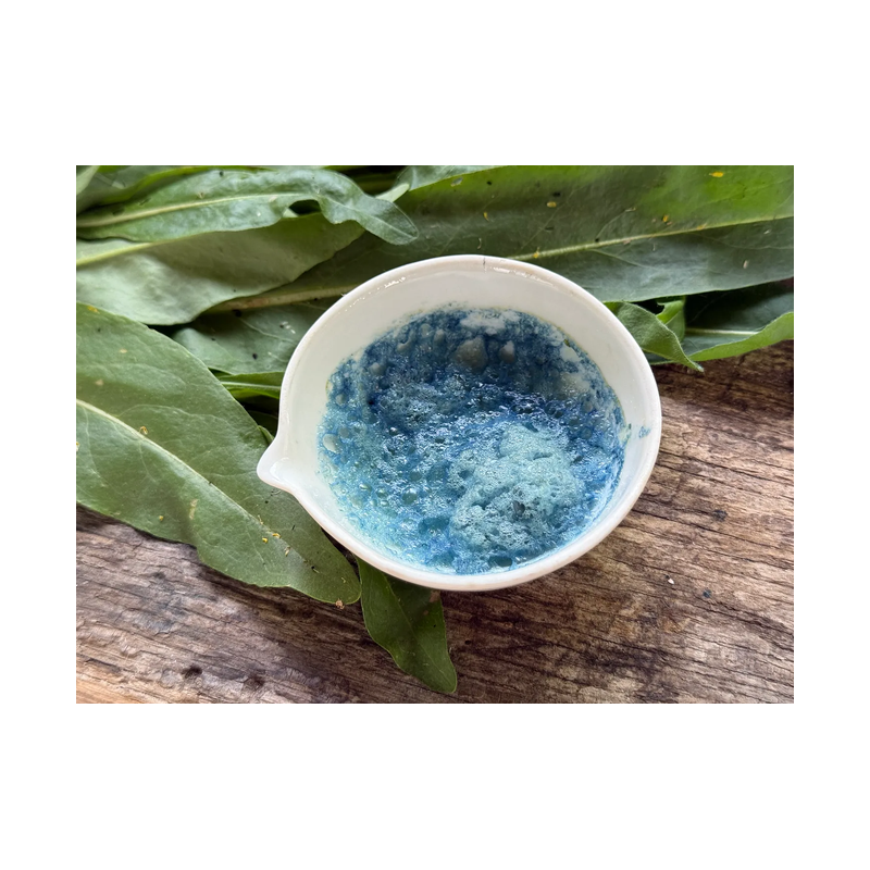 2-Indigo Naturalis with Woad, complementary courses for the book "INSIDE INDIGO" by Julia Tabakhova