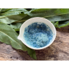 2-Indigo Naturalis with Woad, complementary courses for the book "INSIDE INDIGO" by Julia Tabakhova
