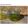 3- Pickles with Woad, complementary courses for the book "INSIDE INDIGO" by Julia Tabakhova