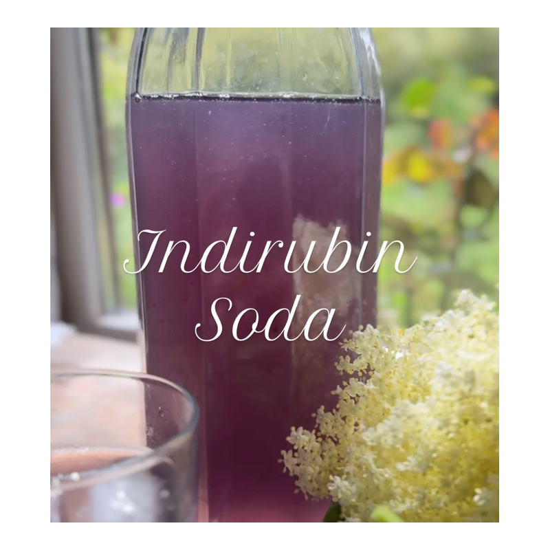 4-Indirubin Soda, complementary courses for the book "INSIDE INDIGO" by Julia Tabakhova