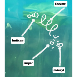 5-Indigo & Indirubin Chemistry for babies PART 1, complementary courses for the book "INSIDE INDIGO" by Julia Tabakhova