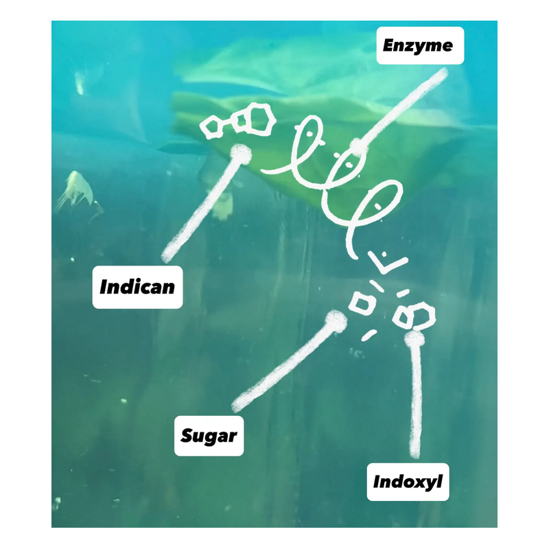 5-Indigo & Indirubin Chemistry for babies PART 1, complementary courses for the book "INSIDE INDIGO" by Julia Tabakhova