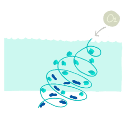 8-[RECAP] Indigo Chemistry for babies part 1, complementary courses for the book "INSIDE INDIGO" by Julia Tabakhova