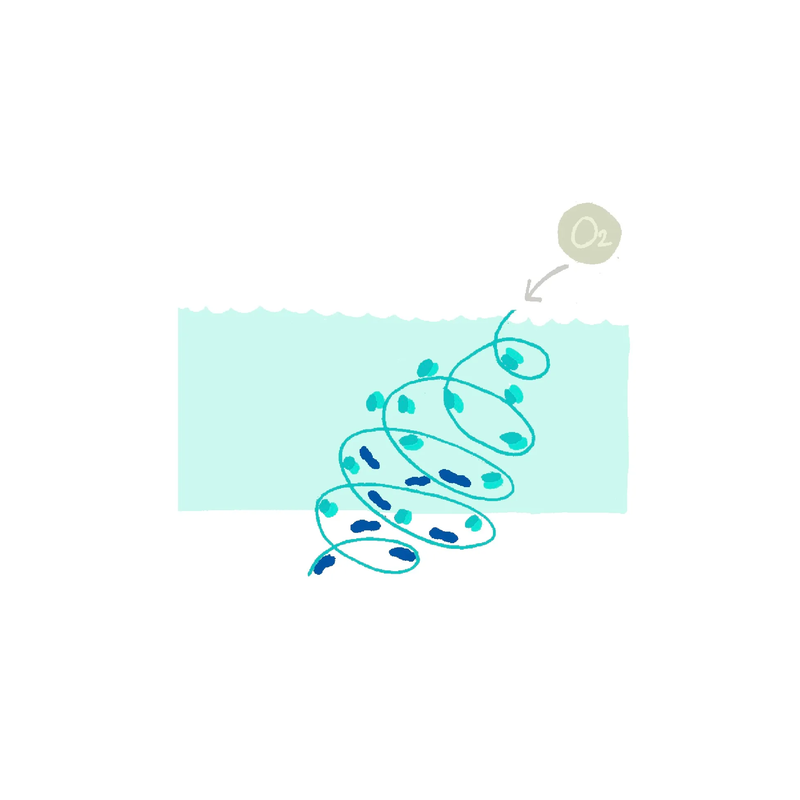 8-[RECAP] Indigo Chemistry for babies part 1, complementary courses for the book "INSIDE INDIGO" by Julia Tabakhova