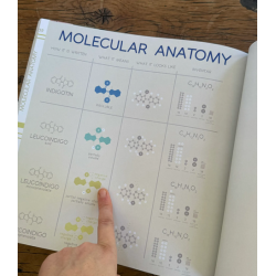 9-Indigo Chemistry for babies part 2, complementary courses for the book "INSIDE INDIGO" by Julia Tabakhova