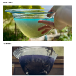 10-Indirubin with Japanese Indigo part I : dyeing, complementary courses for "INSIDE INDIGO" by Julia Tabakhova
