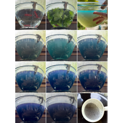 10-Indirubin with Japanese Indigo part I : dyeing, complementary courses for "INSIDE INDIGO" by Julia Tabakhova