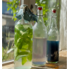 11 - Indoxyl Soda, complementary courses for "INSIDE INDIGO" by Julia Tabakhova