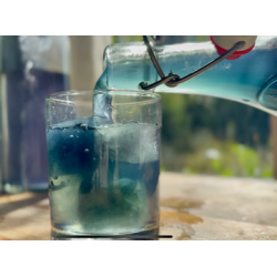 11 - Indoxyl Soda, complementary courses for "INSIDE INDIGO" by Julia Tabakhova