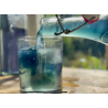 11 - Indoxyl Soda, complementary courses for "INSIDE INDIGO" by Julia Tabakhova