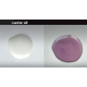18-Indirubin Index - oil edition, complementary courses for "INSIDE INDIGO" by Julia Tabakhova